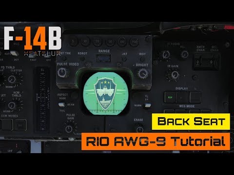 DCS World - F-14 Tomcat - Back Seat - RIO AWG-9 Tutorial