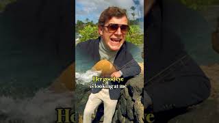 Ugliest The Beach Feat. Antonio Frankfurt