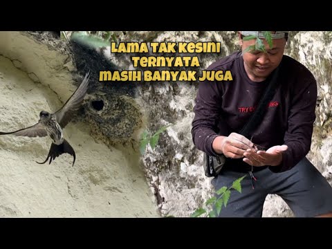 Bisa mbolang sekalian liburan disini, pemandangannya asik juga 😅