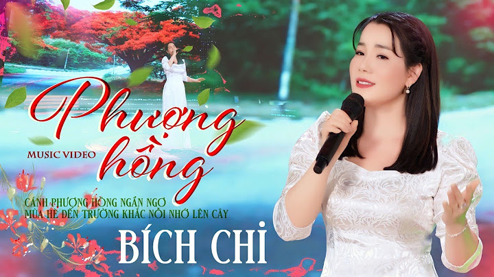 Bài hát phượng hồng xuất hịn bộ phim nào năm 2024