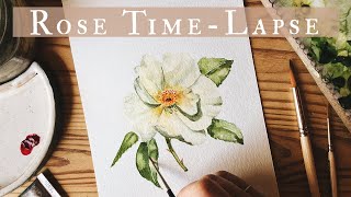 Wild White Rose Time-Lapse