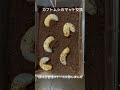 カブトムシのマット交換。1頭は別ケースに移しました