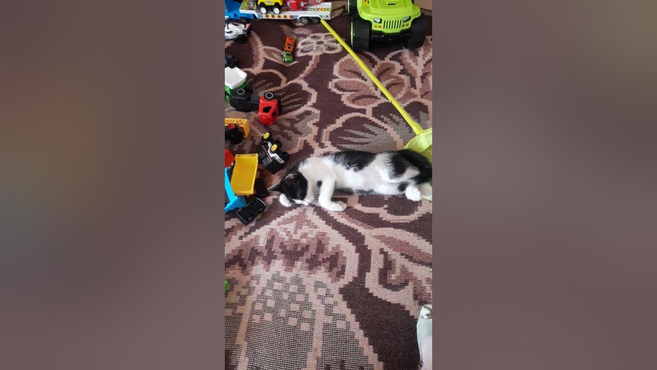 tired-need-rest-youtube