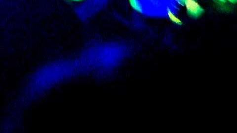 Example - Hooligans LIVE