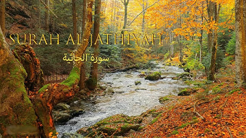 Surah Al Jathiyah  سورة الجاثية