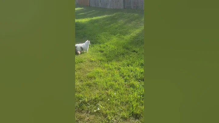 Jude (he waited for me at the end)