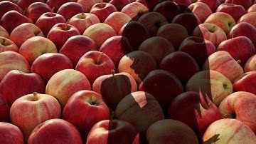 Bad Apple but if you pause it