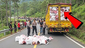 PADANG GEMPAR : Truk Simpan 87 Karung Daging Manusia di Sitinjau Lauik, Ternyata Desa Lakukan Ini