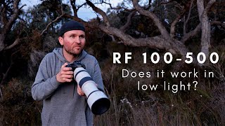 Canon RF 100500 Does it WORK in LOW LIGHT & with Teleconverters? SURPRISING Results!