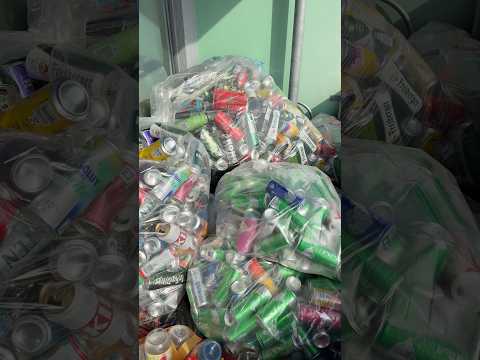 Antwort: „WARUM KEINE HANDSCHUHE 🧤🤬 beim PFAND sammeln😡?!“ #shorts #frage #antwort #pfand