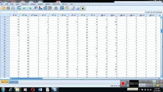 SPSS سنجش پایایی پرسش نامه ها در