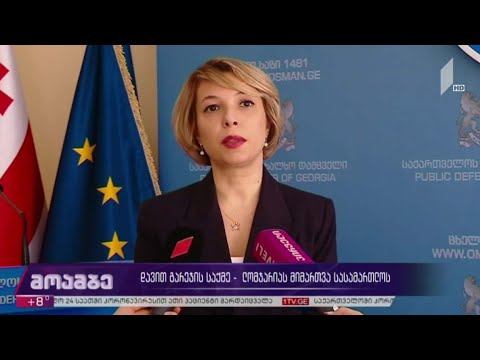 დავით გარეჯის საქმე - ნინო ლომჯარიას მიმართვა სასამართლოს