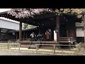 東京大衆歌謡楽団 ♩長崎物語♩