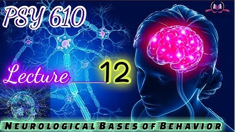 PSY610 || Lecture 12 || Neurological Bases of Behavior || Short Lecture || VU Lectures