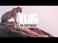 Niya - A Beginning Vlog No Copyright Niya - A Beginning Vlog No Copyright