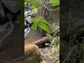 Where the hidden lost tribes live