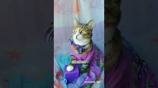 СДЕЛАЮ КУСЬ ЕСЛИ ЗАБУДЕШЬ ПРО КОРМЁЖКУ😼КОТИК В ДОМЕ ГЛАВНЫЙ😂#shorts #котик