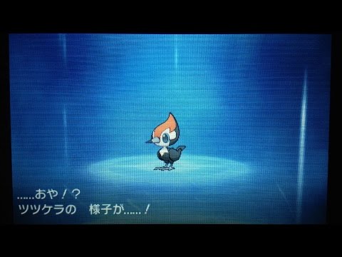 ポケモン サン ムーン ツツケラ進化 Youtube