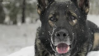 Search for missing, retired Erie County Sheriff's K-9 continues in West Valley