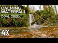 8 HRS Forest Waterfall Sound & Birds Songs for Focus & Concentration - Coal Creek Trail Waterfall