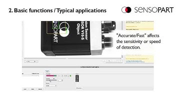 Vision sensor VISOR®:  Detector Pattern
