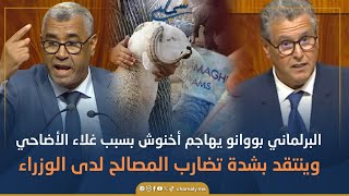 البرلماني بووانو يحرج أخنوش بسبب خروقات دعم الأضاحي.. ويوجه اتهامات لوزراء ومسؤولين