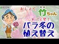 バラ冬の植え替え【教えて竹ちゃん】