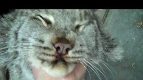 Making my own  LURE making VIEWER DISCRETION IS ADVISED