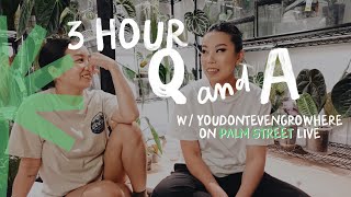 3 hour Q&A + planty hangout on palm street live with @youdontevengrowhere 🌴