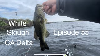 Bass fishing on the Ca Delta Episode 55
