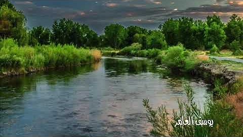 سورة عبس | القارئ يوسف العامر