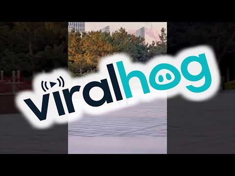 Person Slowly Sneaks for Cat Pets || ViralHog