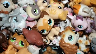 LPS Unboxing (Package From Gabi!)