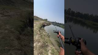How To catch big size Snakehead🐊#fishing #fishinglife #viral #shorts