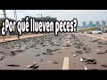 Por qu llueven peces y ranas explicacin sencilla