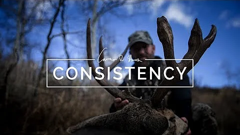 Cam Hanes | Consistency
