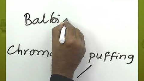 Sex Determination, Sex - Linkage, Genetic Disorders | Botany | NEET 2023 | Dr. S. K. Balachander