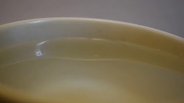 Macro Video #1 - Water drop