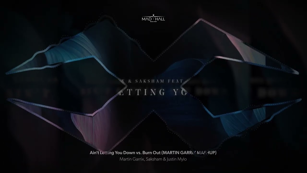 Ain't Letting You Down vs. Burn Out (MARTIN GARRIX MASHUP)
