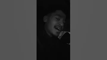 فى احساس مالينى وائل جسار 