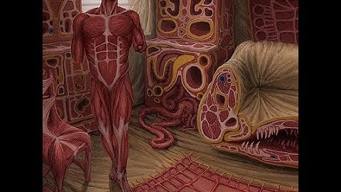 CS:GO ZE | ze_meatropolis_p4 | All stages | First win | Mapeadores