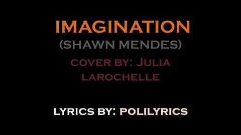 Imagination (Shawn Mendes) - cover by Julia Laroch...
