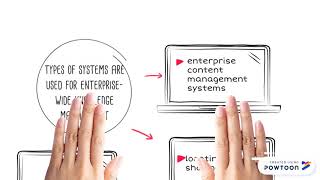 MANAGEMENT INFORMATION SYSTEM CHAPTER 11 : MANAGING KNOWLEDGE Wealth
