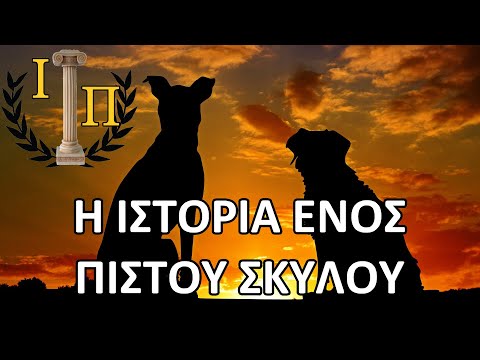 Βίντεο: Οι δημόσιοι εχθροί βασίστηκαν σε αληθινή ιστορία;