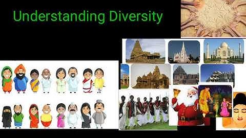 TNPSC//Important 25 Questions//Understanding Diversity//Std 6th// Term 1 social Science(Civics)