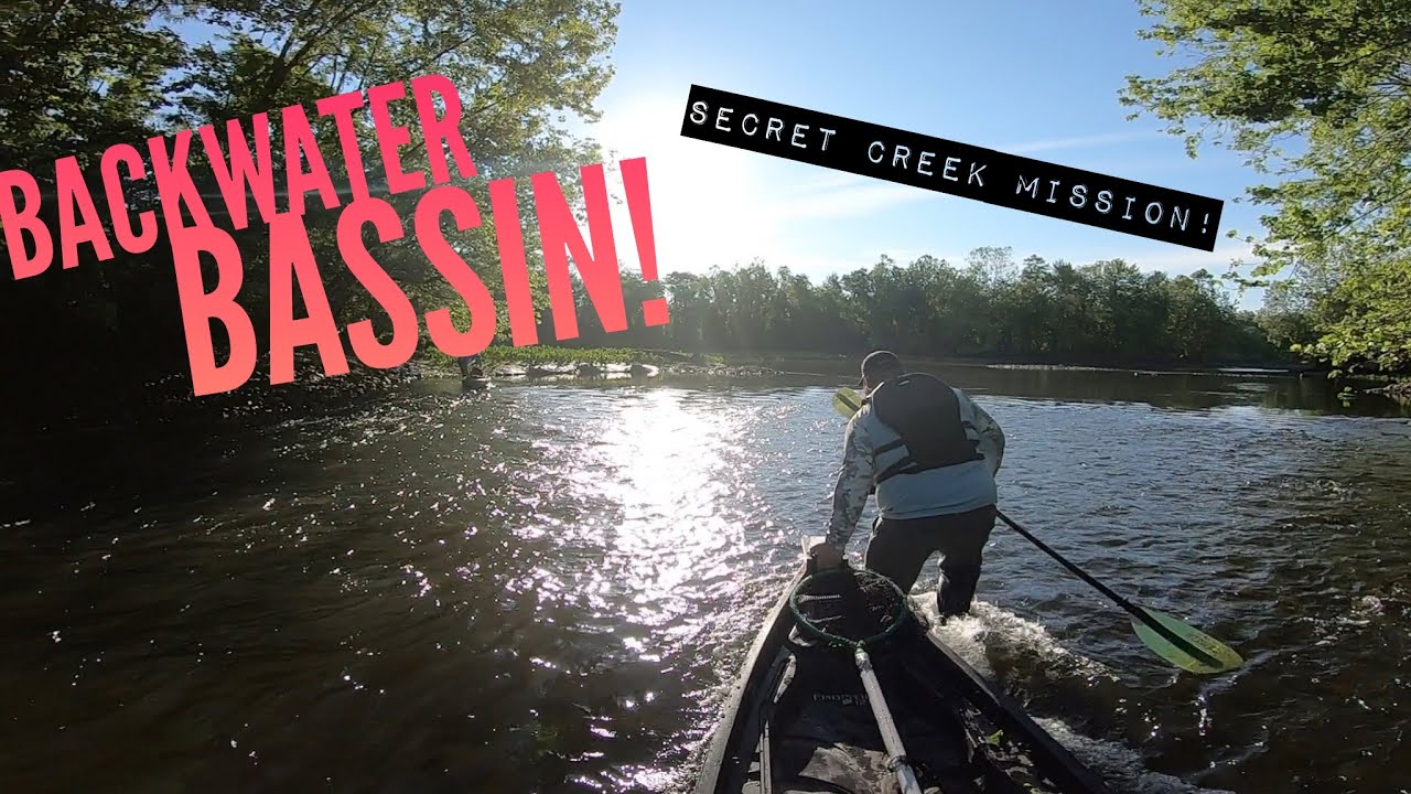 Hidden Backwater Fishing Trip - Multi Species Day!