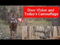 Deer Vision and Modern Camouflage Clothing