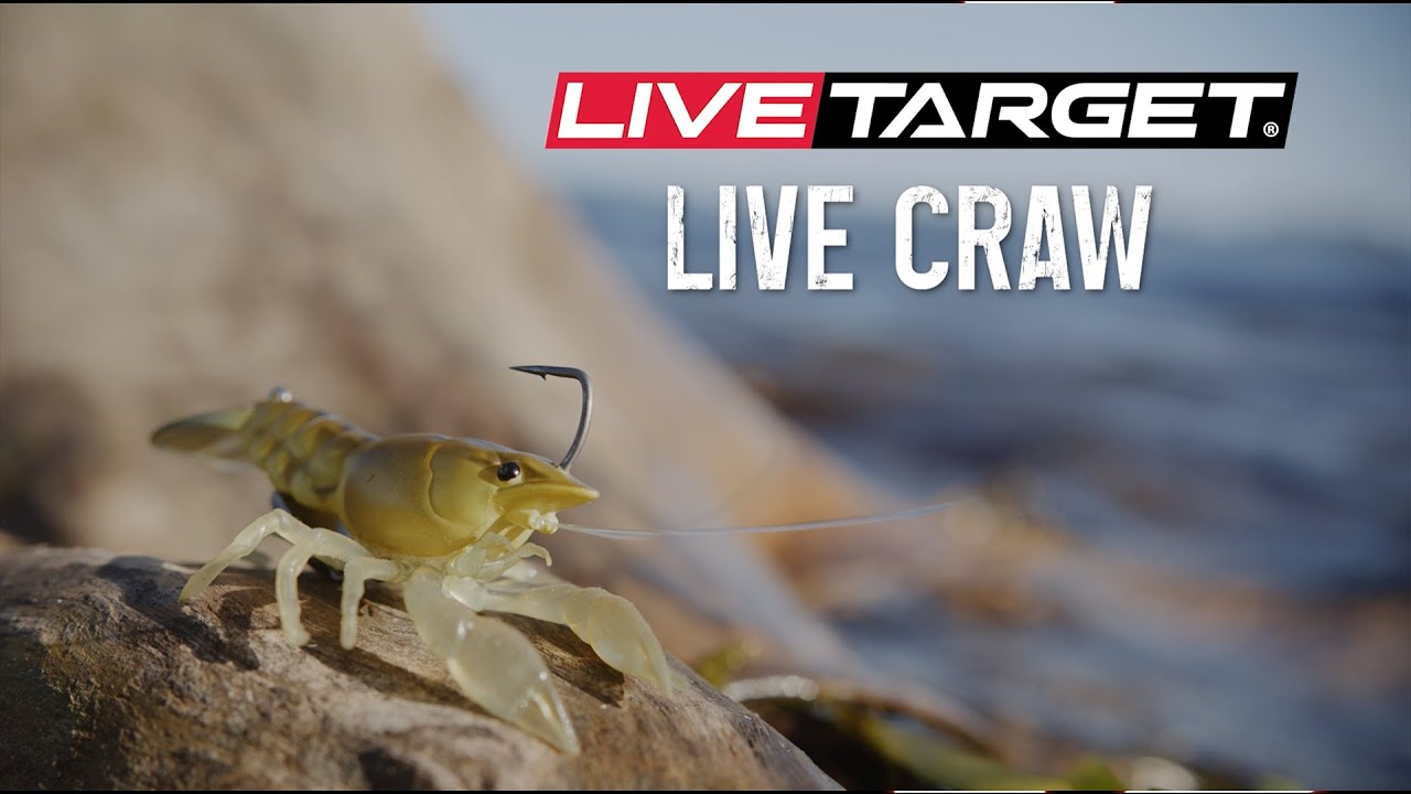 LIVETARGET Crawfish Squarebill Crankbait