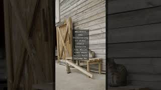 The Feline Phenomenon Cats LightningFast Recovery from SleepAs cat owners weve all...