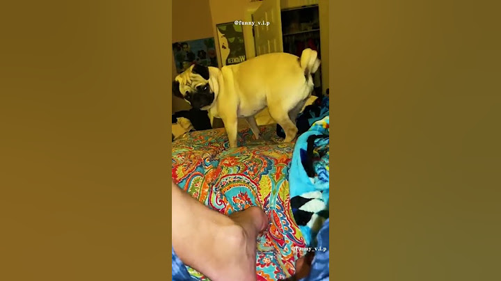 It will lift your spirits